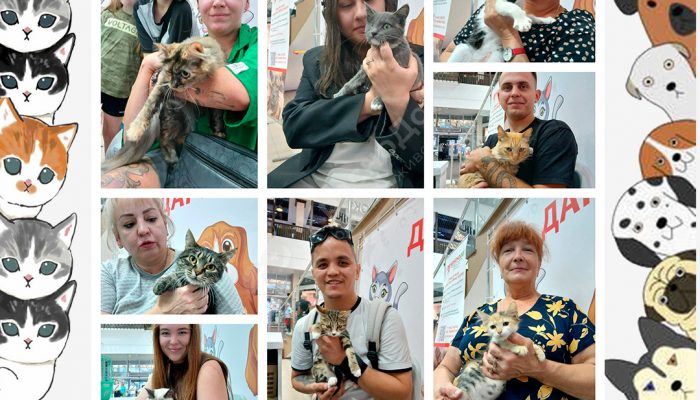 Спешим поделиться итогами выставки в Мегацентре 
